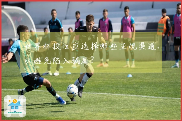 世界杯投注应选择哪些正规渠道，以避免陷入骗局？