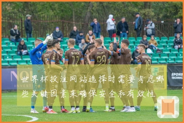 世界杯投注网站选择时需要考虑哪些关键因素来确保安全和有效性