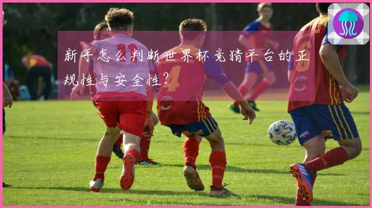 新手怎么判断世界杯竞猜平台的正规性与安全性？