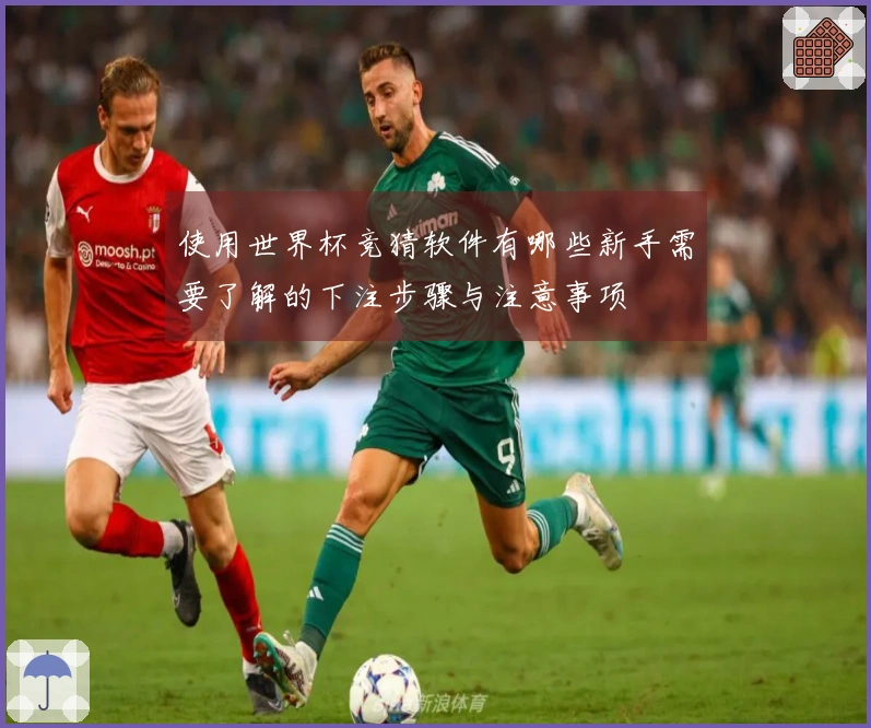 使用世界杯竞猜软件有哪些新手需要了解的下注步骤与注意事项