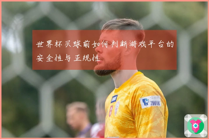 世界杯买球前如何判断游戏平台的安全性与正规性