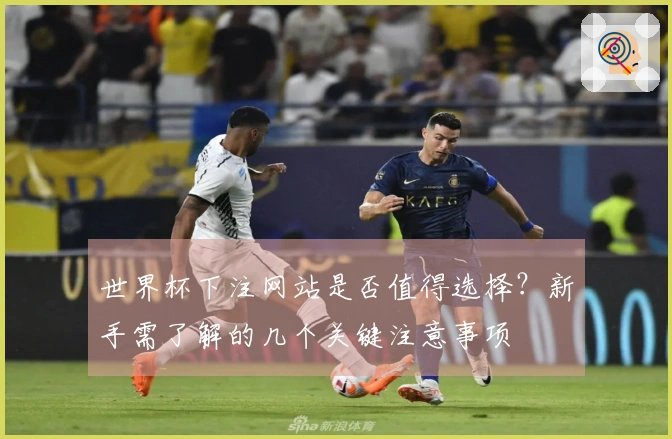 世界杯下注网站是否值得选择？新手需了解的几个关键注意事项