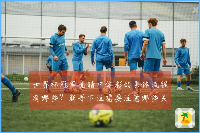 世界杯冠军竞猜中体彩的具体流程有哪些？新手下注需要注意哪些关键点？