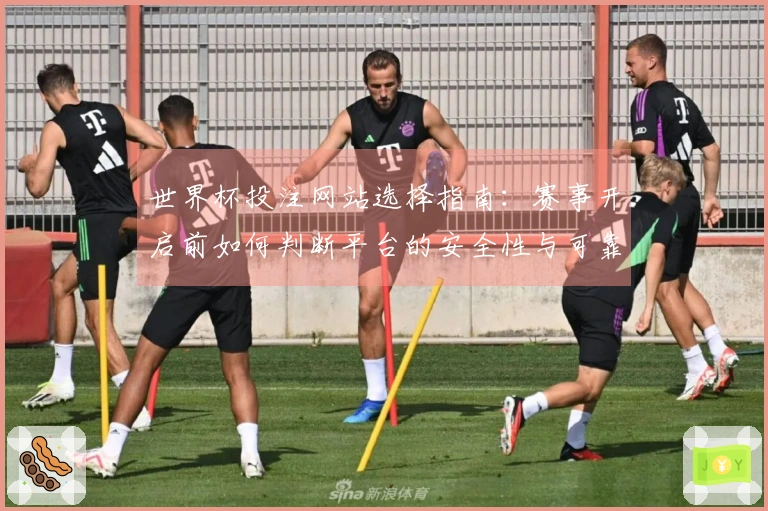世界杯投注网站选择指南：赛事开启前如何判断平台的安全性与可靠性
