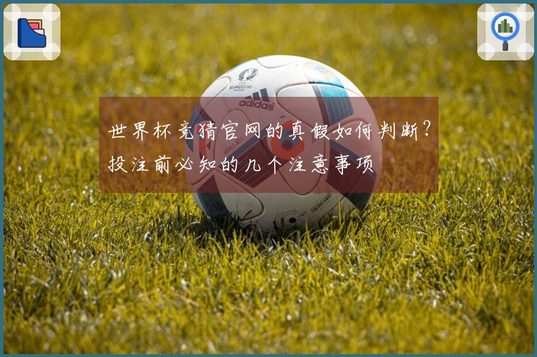世界杯竞猜官网的真假如何判断？投注前必知的几个注意事项