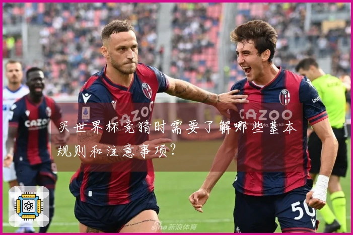 买世界杯竞猜时需要了解哪些基本规则和注意事项？