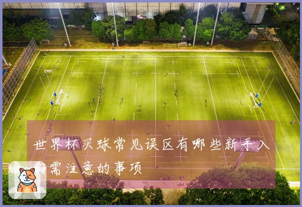 世界杯买球常见误区有哪些新手入门需注意的事项