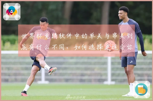 世界杯竞猜软件中的单关与串关到底有什么不同，如何选择更适合你的投注方式？