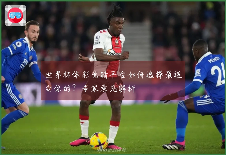 世界杯体彩竞猜平台如何选择最适合你的？专家意见解析