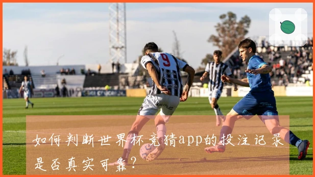 如何判断世界杯竞猜app的投注记录是否真实可靠？