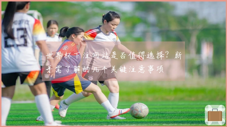 世界杯下注网站是否值得选择？新手需了解的几个关键注意事项