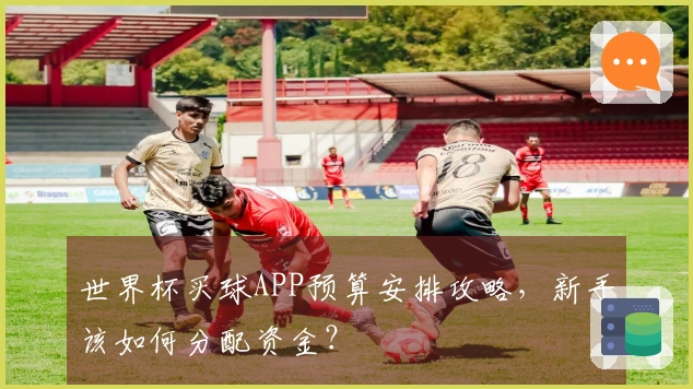 世界杯买球APP预算安排攻略，新手该如何分配资金？