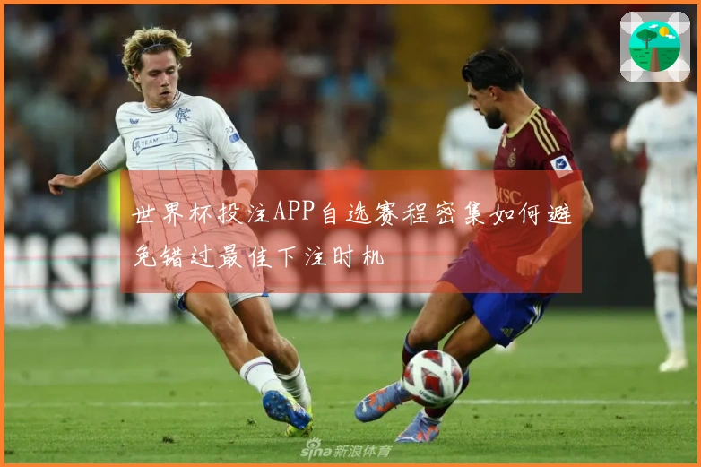 世界杯投注APP自选赛程密集如何避免错过最佳下注时机
