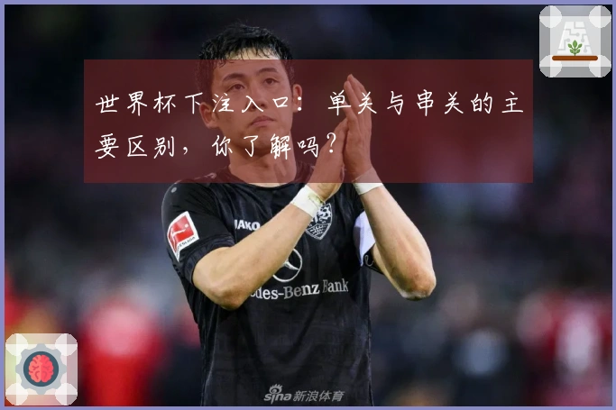 世界杯下注入口：单关与串关的主要区别，你了解吗？