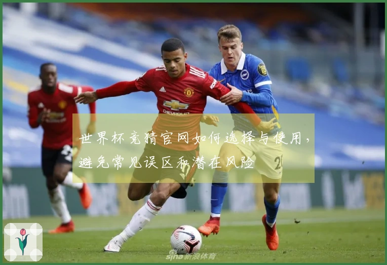 世界杯竞猜官网如何选择与使用，避免常见误区和潜在风险
