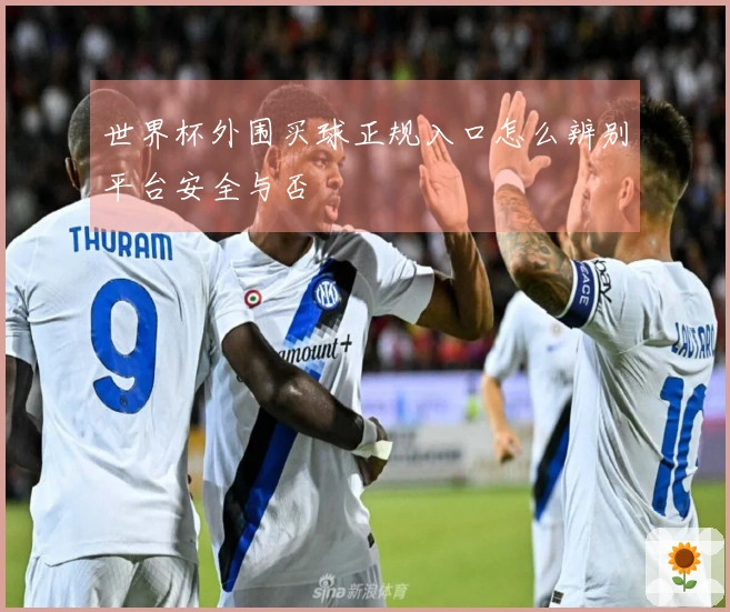 世界杯外围买球正规入口怎么辨别平台安全与否