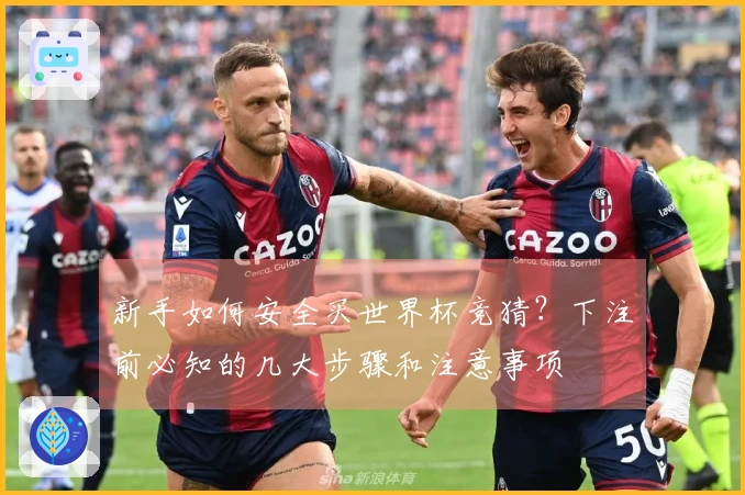 新手如何安全买世界杯竞猜？下注前必知的几大步骤和注意事项