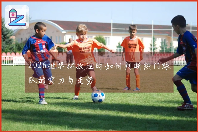 2026世界杯投注时如何判断热门球队的实力与走势