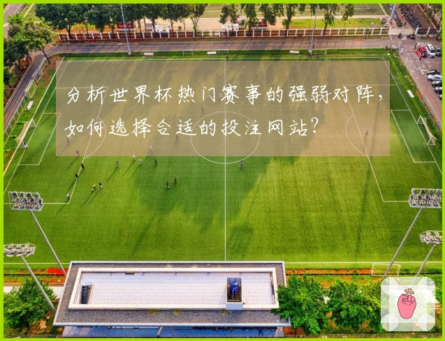 分析世界杯热门赛事的强弱对阵，如何选择合适的投注网站？