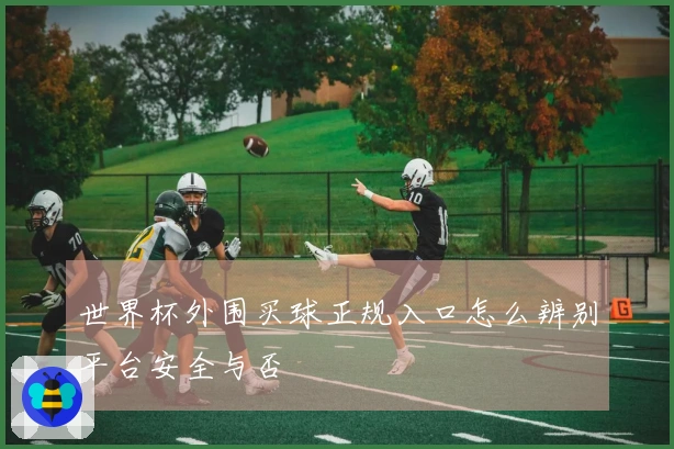 世界杯外围买球正规入口怎么辨别平台安全与否