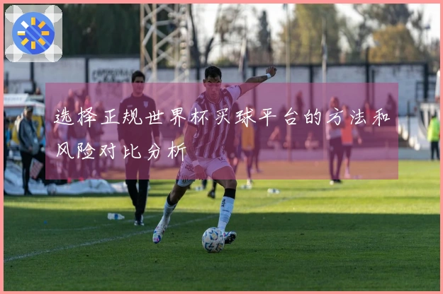 选择正规世界杯买球平台的方法和风险对比分析