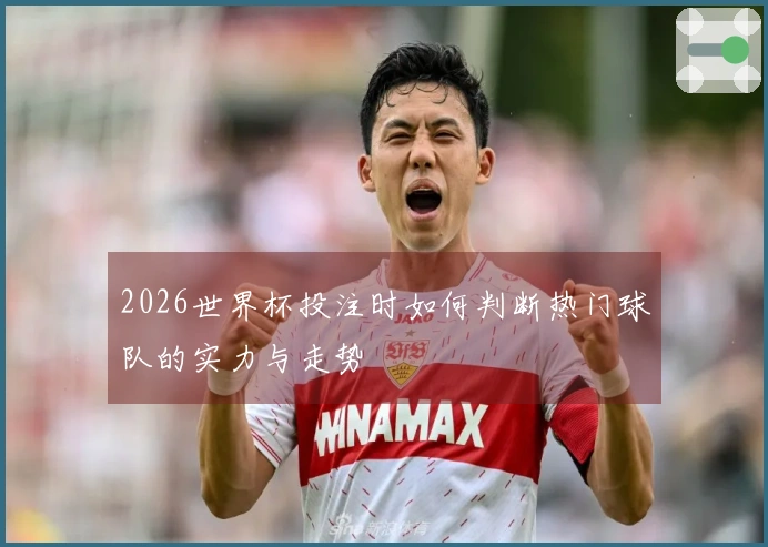 2026世界杯投注时如何判断热门球队的实力与走势