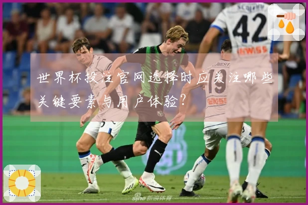世界杯投注官网选择时应关注哪些关键要素与用户体验？
