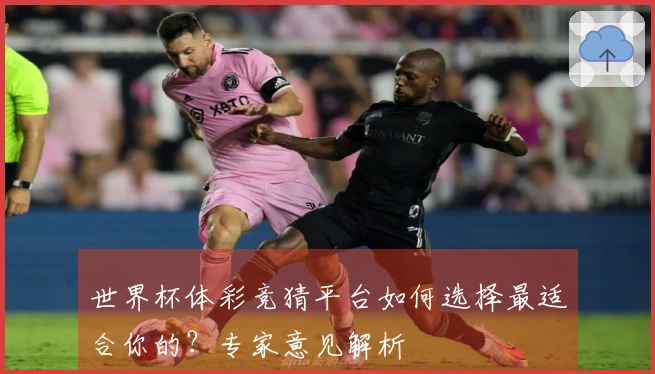 世界杯体彩竞猜平台如何选择最适合你的？专家意见解析