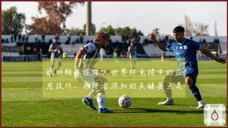 欧洲赔率在烽火世界杯竞猜中的应用技巧，初学者须知的关键要点是什么？