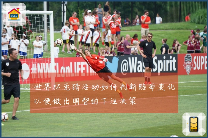 世界杯竞猜活动如何判断赔率变化以便做出明智的下注决策