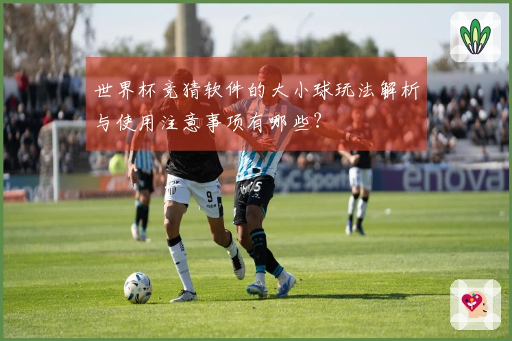 世界杯竞猜软件的大小球玩法解析与使用注意事项有哪些？