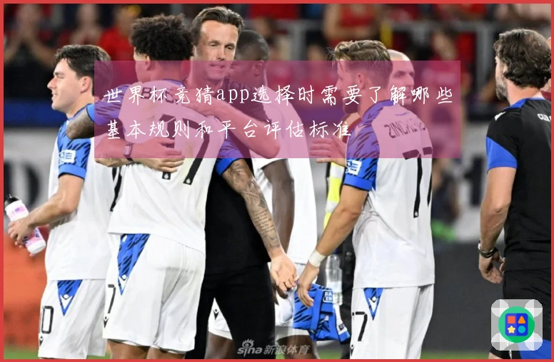 世界杯竞猜app选择时需要了解哪些基本规则和平台评估标准