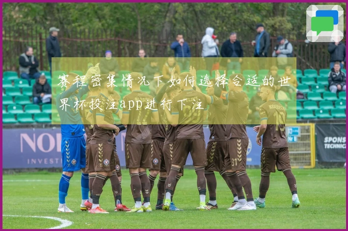 赛程密集情况下如何选择合适的世界杯投注app进行下注